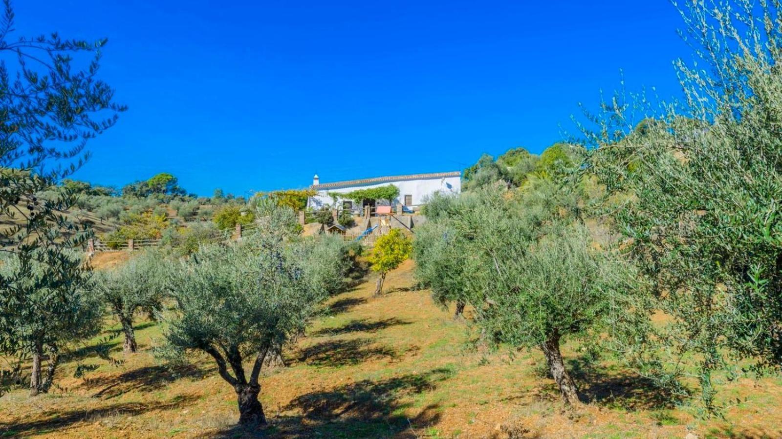 Finca Maripasa Cazalla De La Sierra By Ruralidays Villa Exterior foto